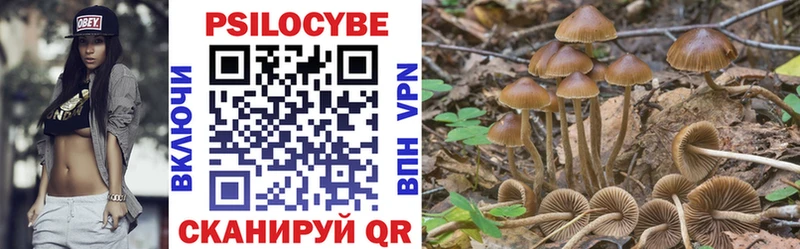 где можно купить наркотик  Верещагино  Галлюциногенные грибы Magic Shrooms 